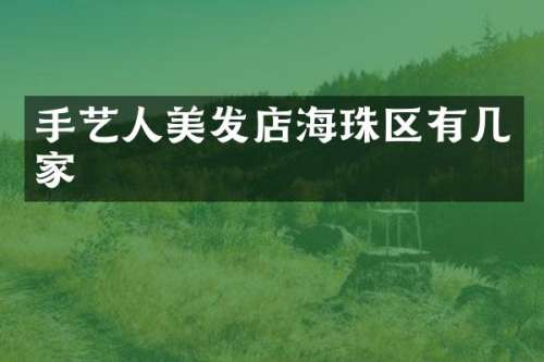 手艺人美发店海珠区有几家