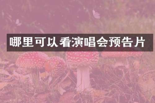 哪里可以看演唱会预告片