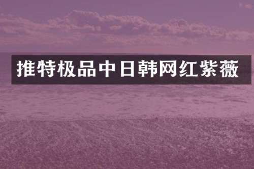 推特中日韩网红紫薇