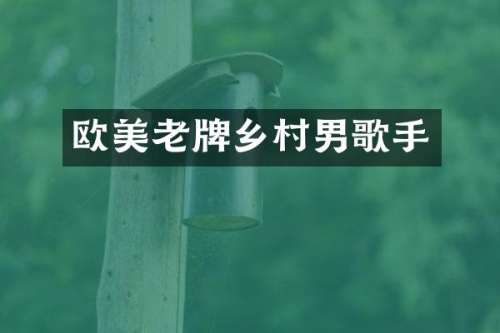 欧美老牌乡村男歌手