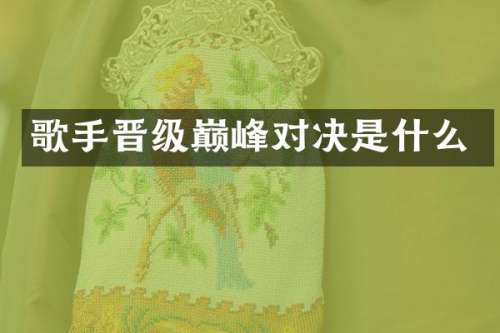 歌手晋级巅峰对决是什么