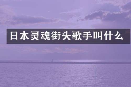 日本灵魂街头歌手叫什么