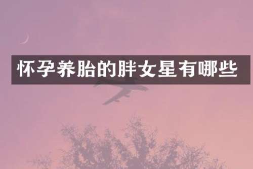 怀孕养胎的胖女星有哪些