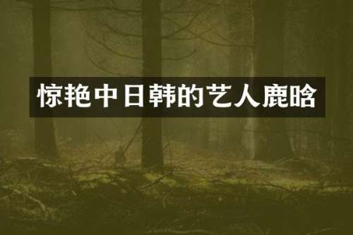 惊艳中日韩的艺人鹿晗