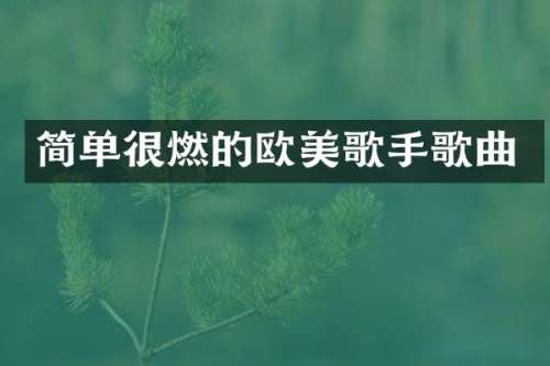 简单很燃的欧美歌手歌曲