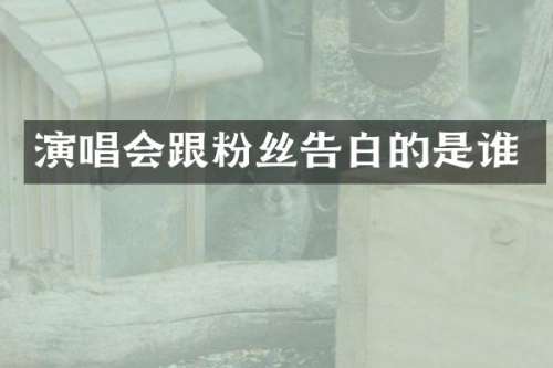 演唱会跟粉丝告白的是谁