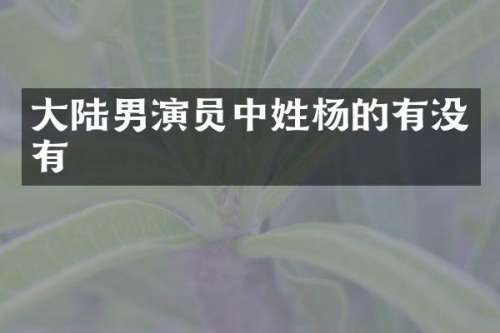 大陆男演员中姓杨的有没有