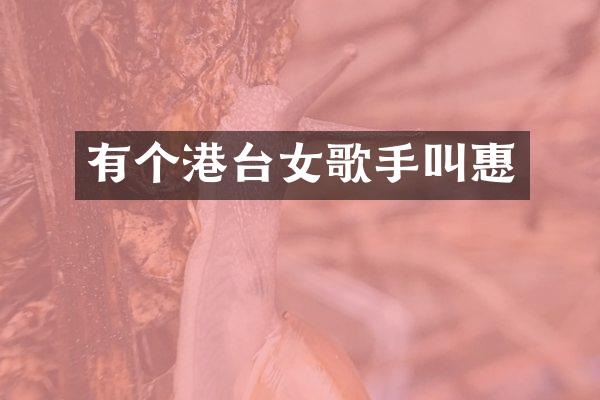 有个港台女歌手叫惠