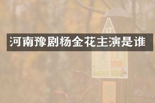 河南豫剧杨金花主演是谁