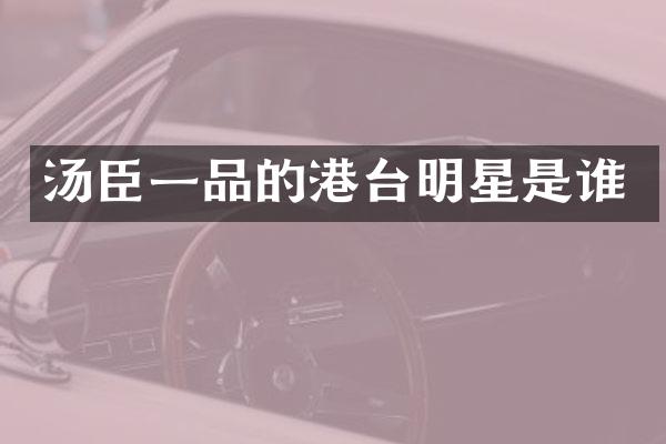 汤臣一品的港台明星是谁
