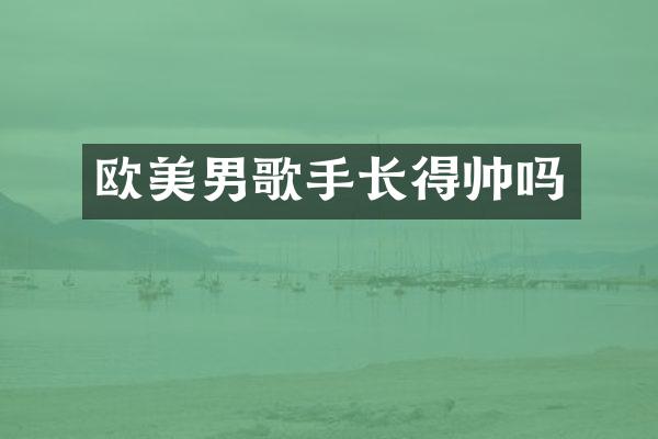 欧美男歌手长得帅吗