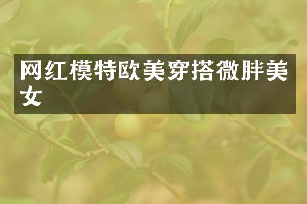 网红模特欧美穿搭微胖