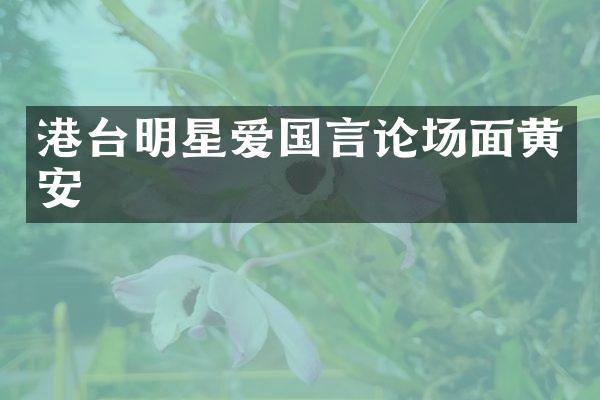 港台明星爱国言论场面黄安