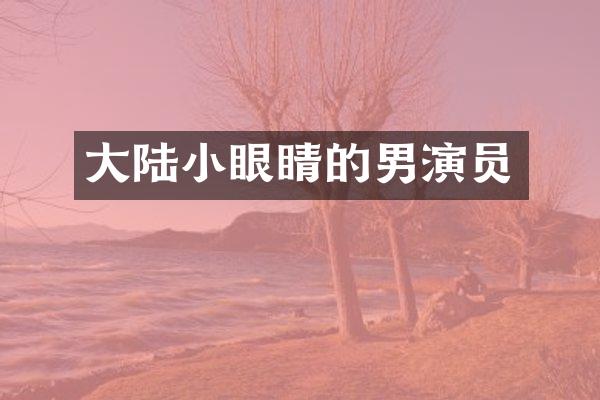 大陆小眼睛的男演员