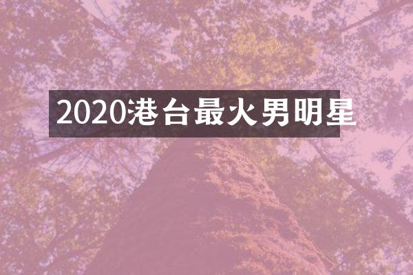 2020港台最火男明星