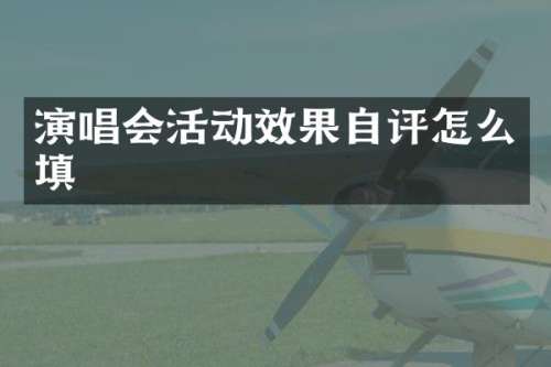 演唱会活动效果自评怎么填