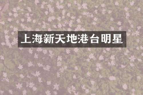 上海新天地港台明星