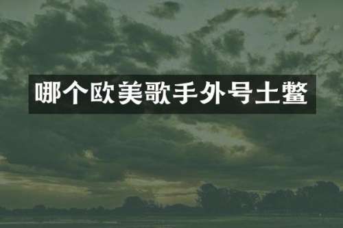 哪个欧美歌手外号土鳖