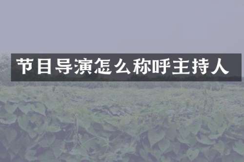 节目导演怎么称呼主持人