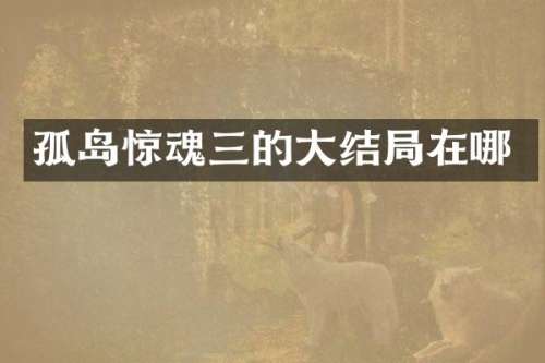孤岛惊魂三的大结局在哪