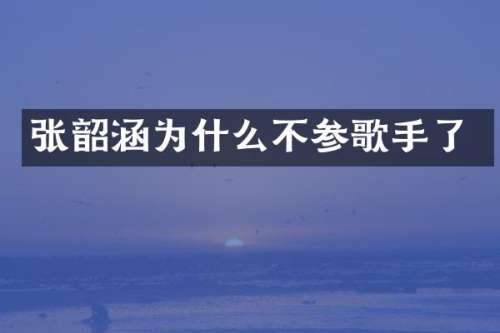 张韶涵为什么不参歌手了