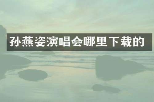 孙燕姿演唱会哪里下载的