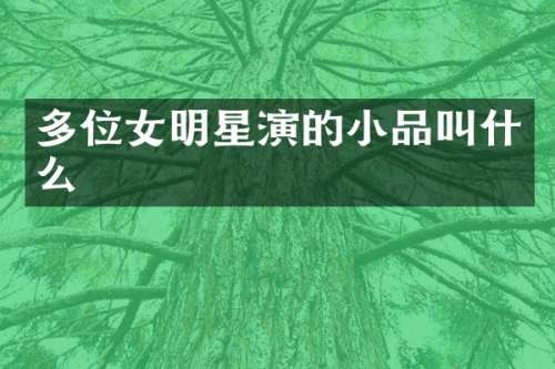 多位女明星演的小品叫什么