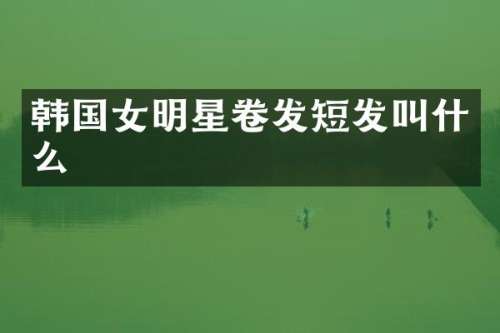 韩国女明星卷发短发叫什么