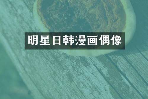明星日画偶像