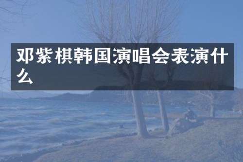 邓紫棋韩国演唱会表演什么