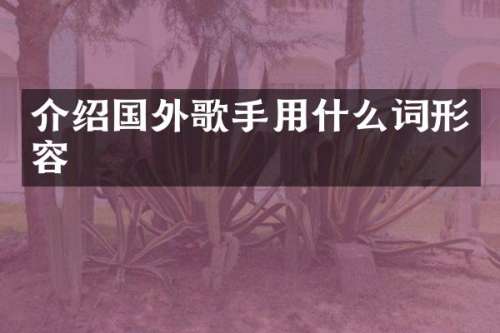 介绍国外歌手用什么词形容