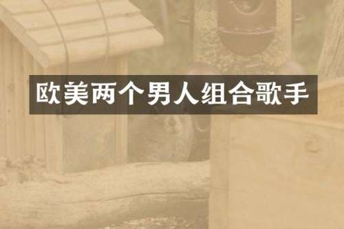 欧美两个男人组合歌手
