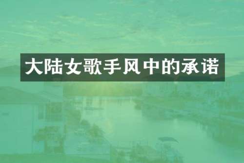 大陆女歌手风中的承诺