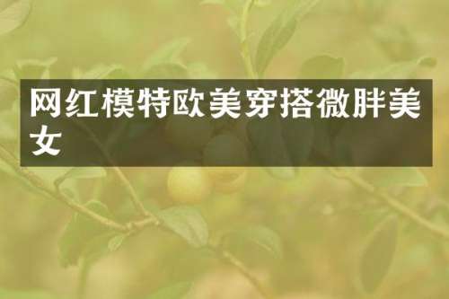 网红模特欧美穿搭微胖
