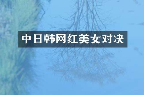 中日韩网红对决
