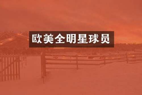 欧美全明星球员
