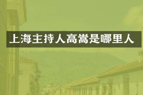 上海主持人高嵩是哪里人