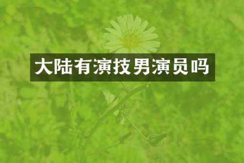 大陆有演技男演员吗