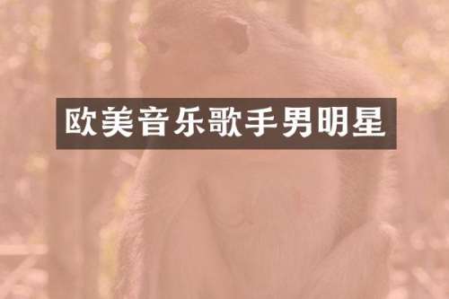 欧美音乐歌手男明星