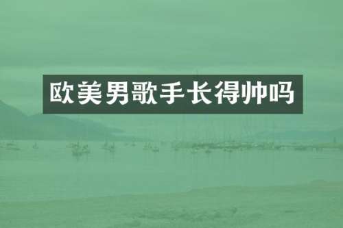 欧美男歌手长得帅吗