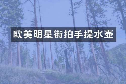 欧美明星街拍手提水壶