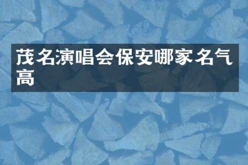 茂名演唱会保安哪家名气高