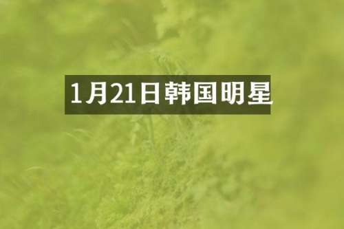 1月21日韩国明星