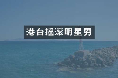港台摇滚明星男