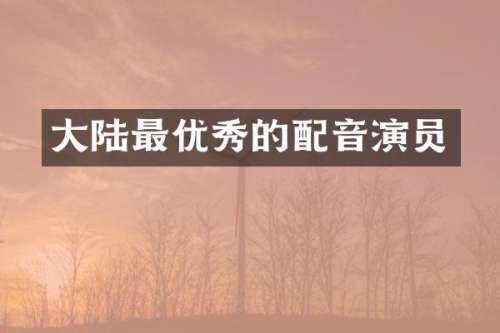 大陆最优秀的配音演员