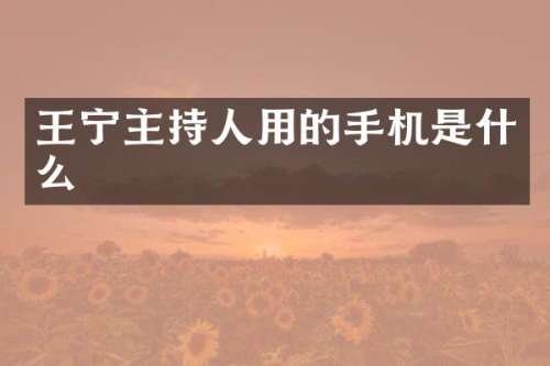 王宁主持人用的手机是什么