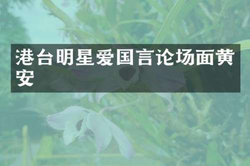 港台明星爱国言论场面黄安