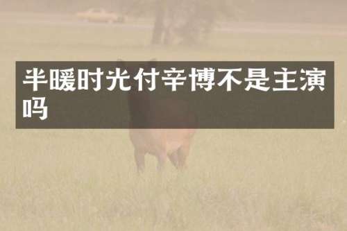 半暖时光付辛博不是主演吗