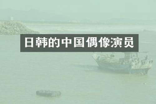 日韩的中国偶像演员