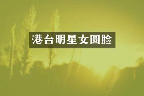港台明星女圆脸